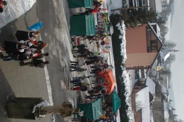 Z_festivalu Z_festivalu